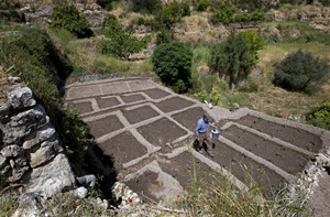 In this Sunday, May 6, 2012 file photo, Palestinian farmer Elayan Shami, 62, plants eggplants in a maze to direct irrigation water downhill from one terrace to another in his field in the West Bank village of Battir.